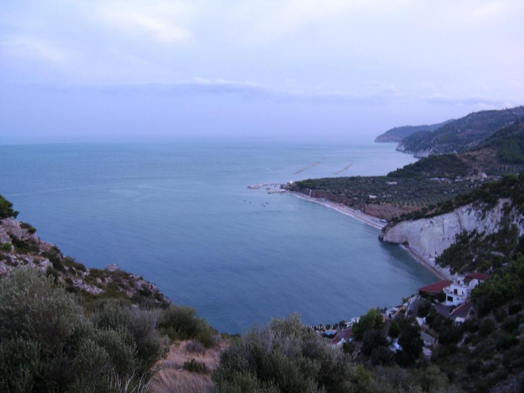 Pensione San Michele Mattinata Ruang foto